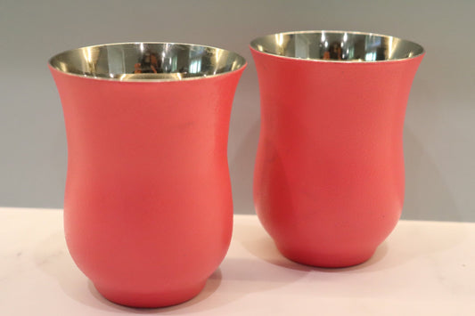 Stainless Steel Pink Glasses (Set of 2)